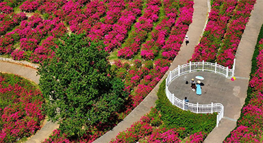 �ό������պ��L(f��ng)��